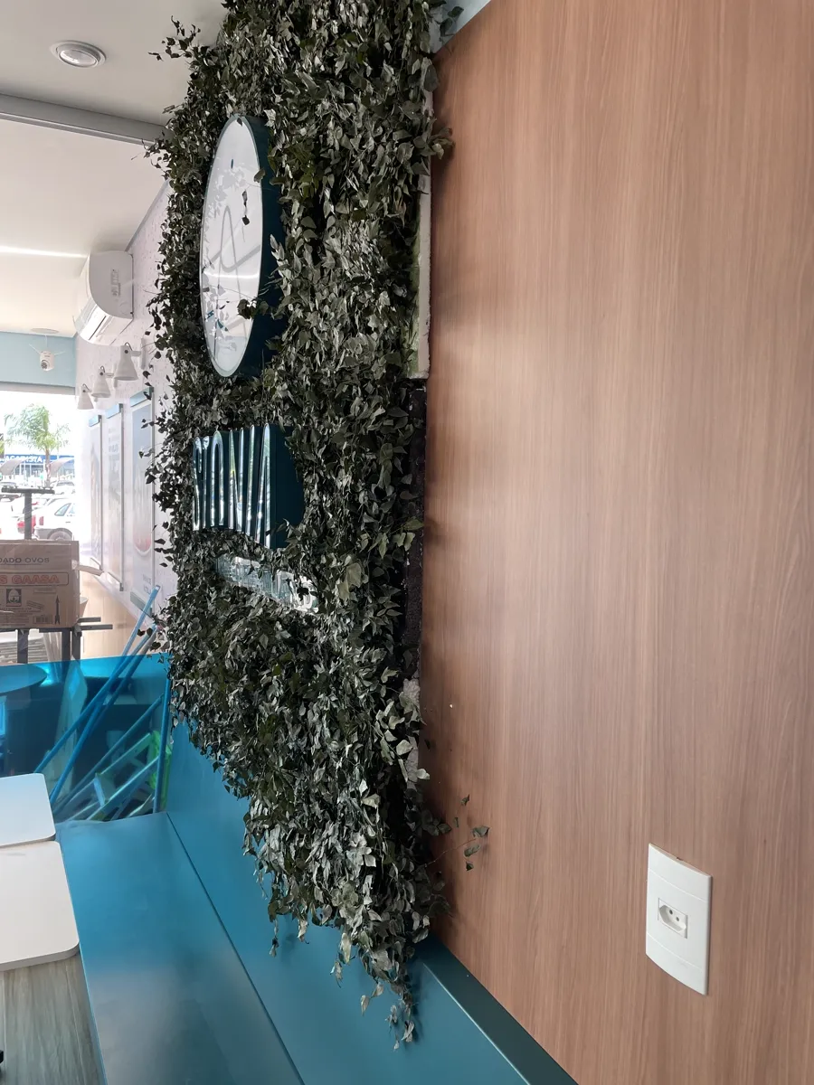 Parede interna da loja Stonia Shopping Sul, com painel de madeira e parede de plantas, em vista lateral